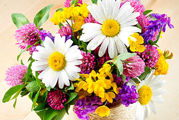 Полевые букеты