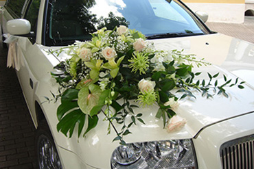 Оформление машин