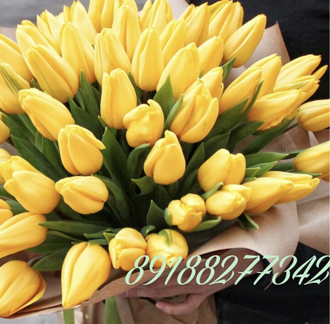 Очарованный