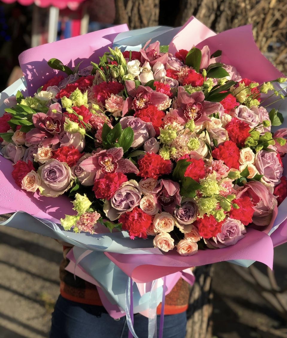 Жизнь в ярких красках