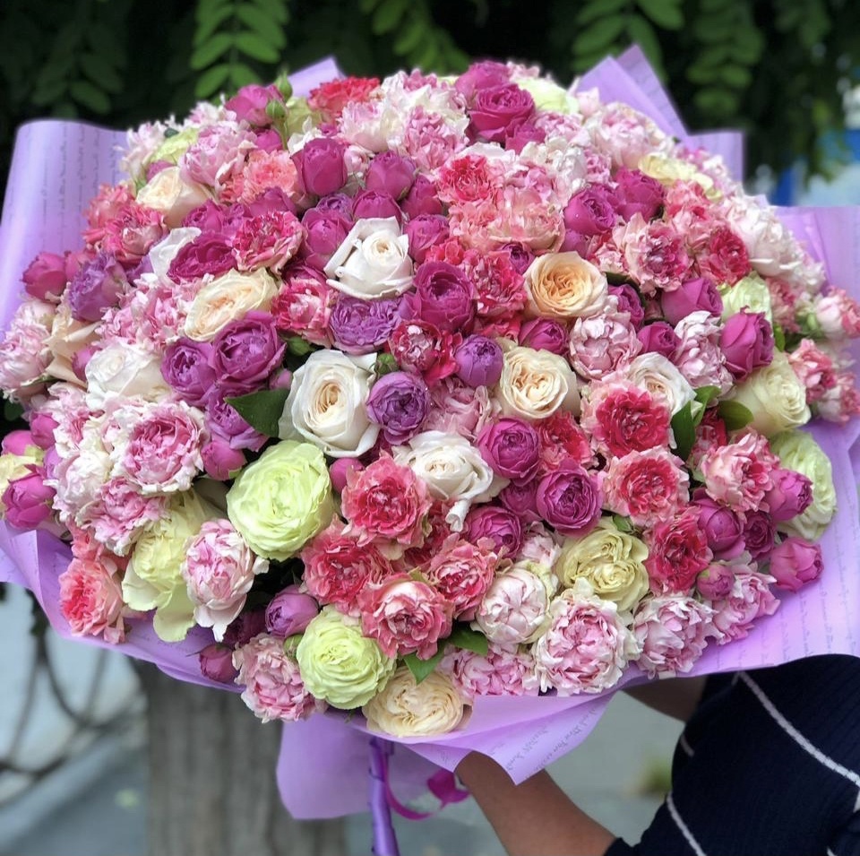 Цветные сны