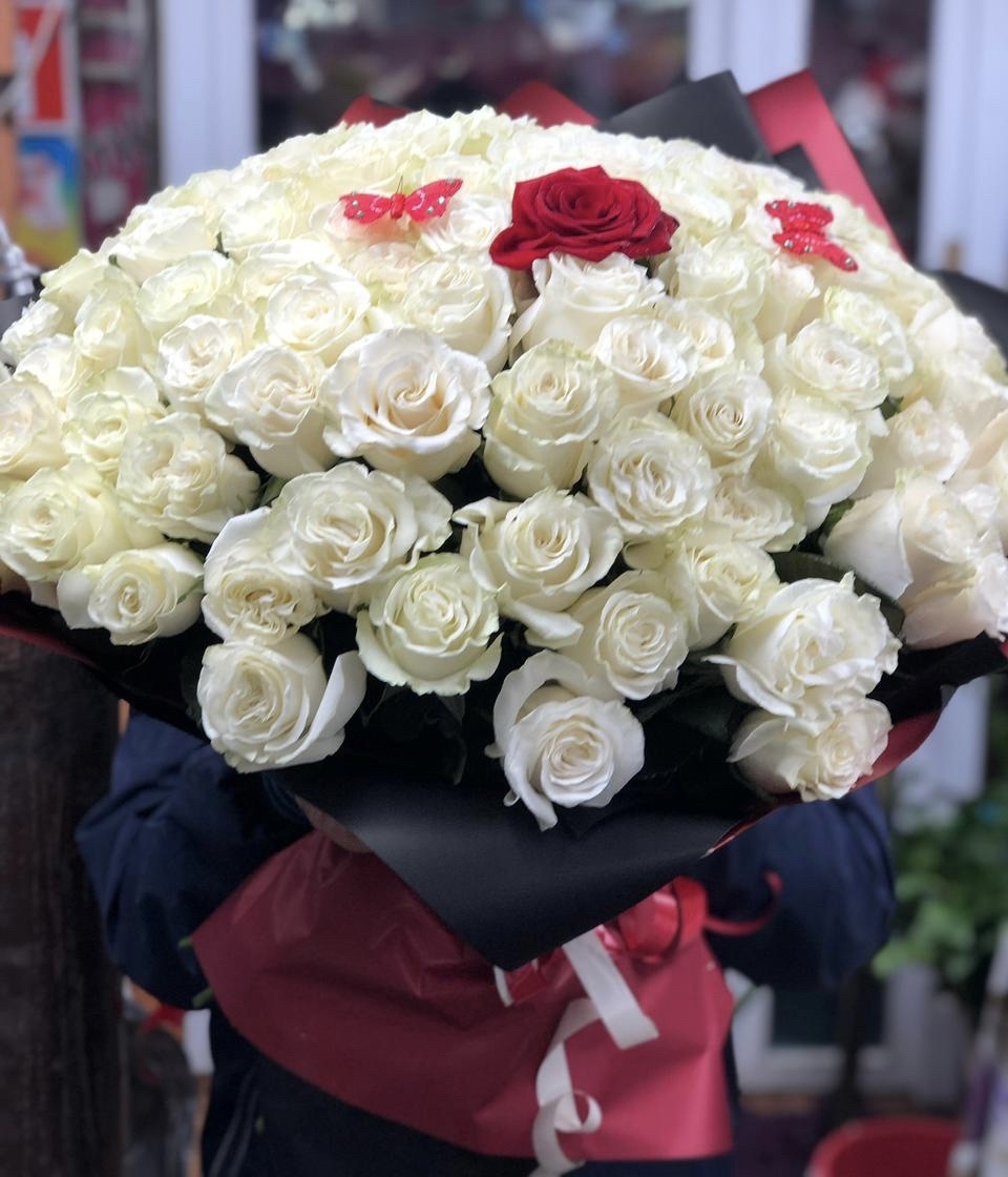 Лебединая верность