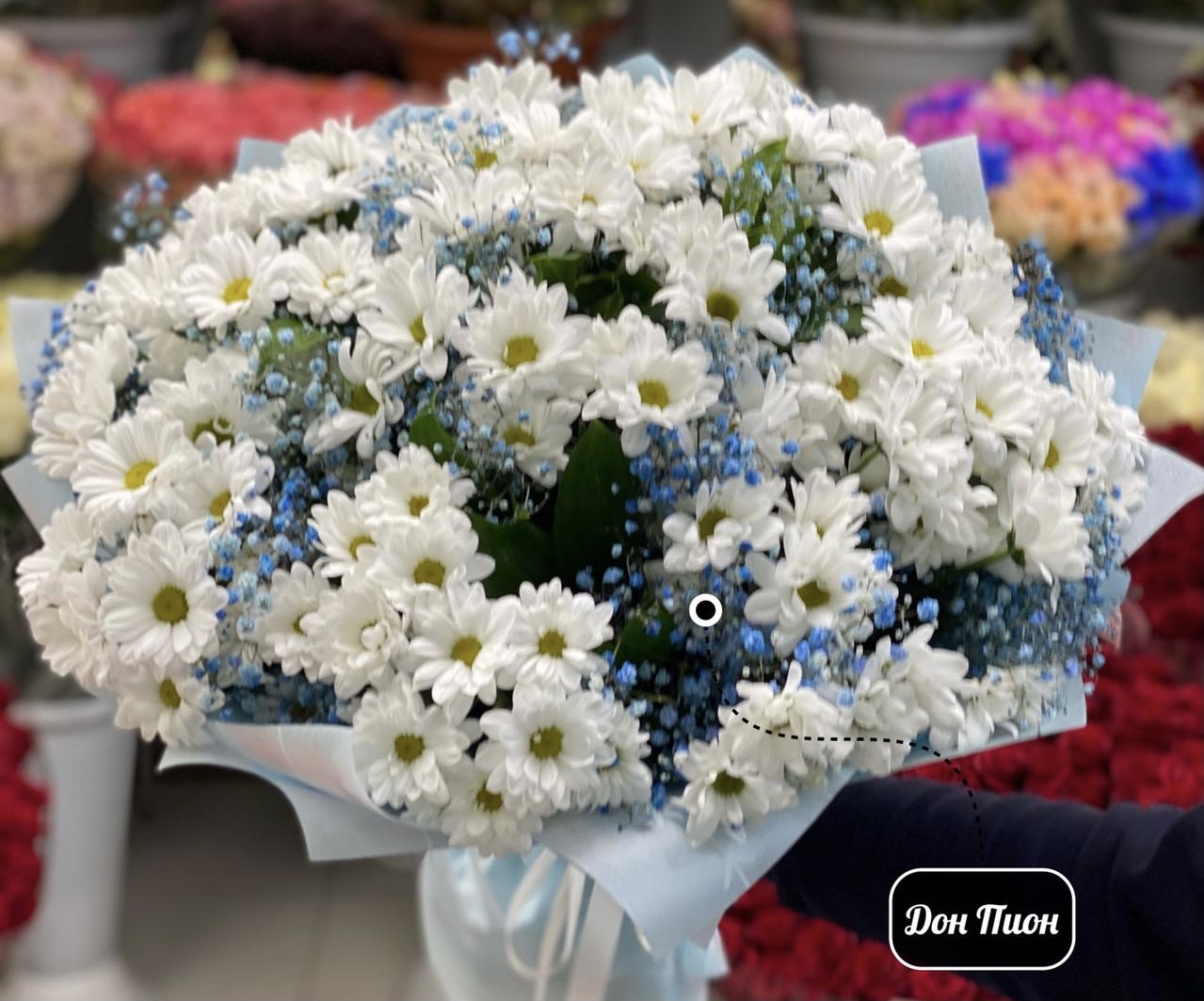 Чистое поле