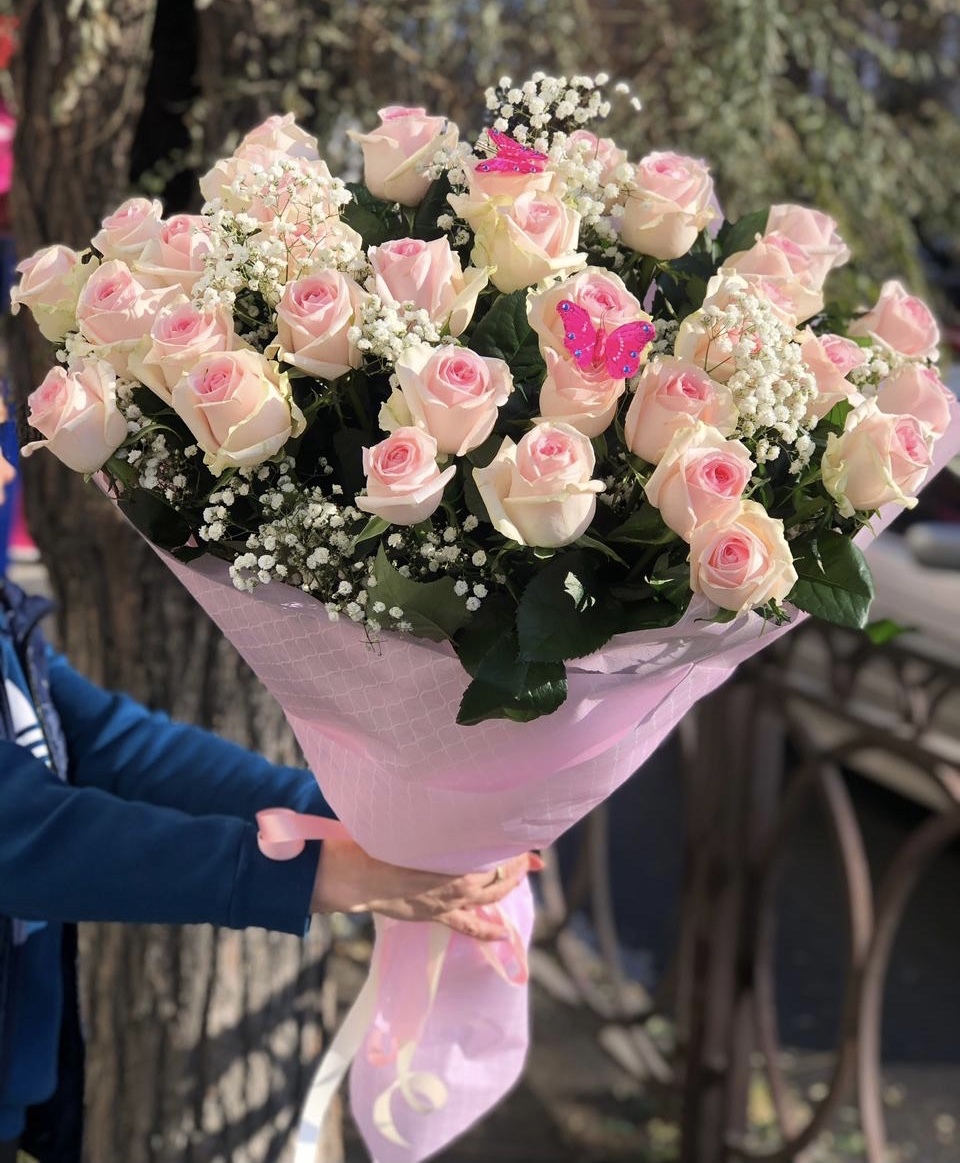 Аромат Прованса