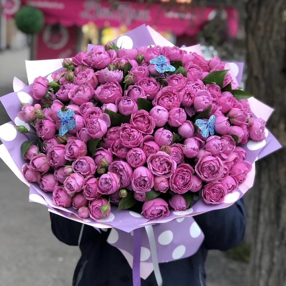 Песня сердца