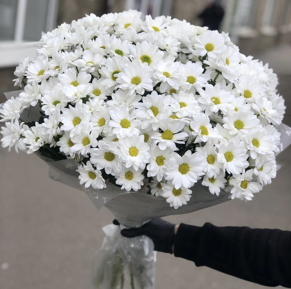 Солнечное утро