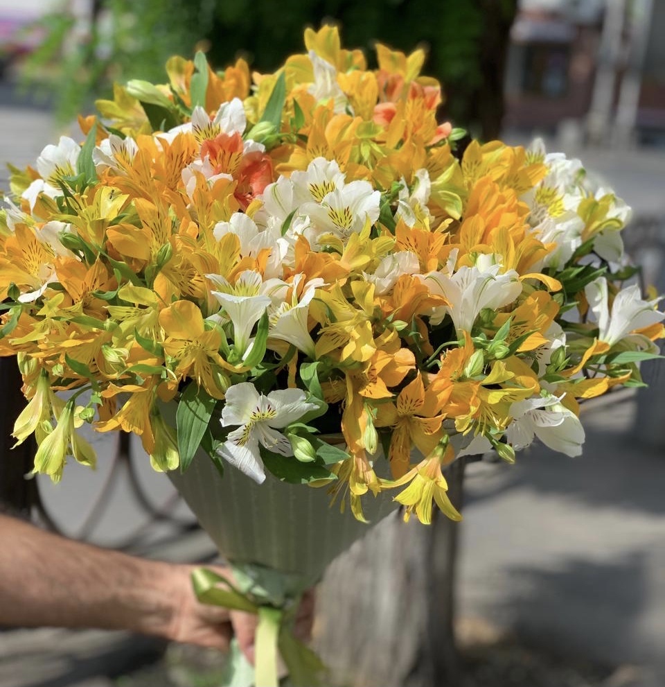 Летнее наслаждение