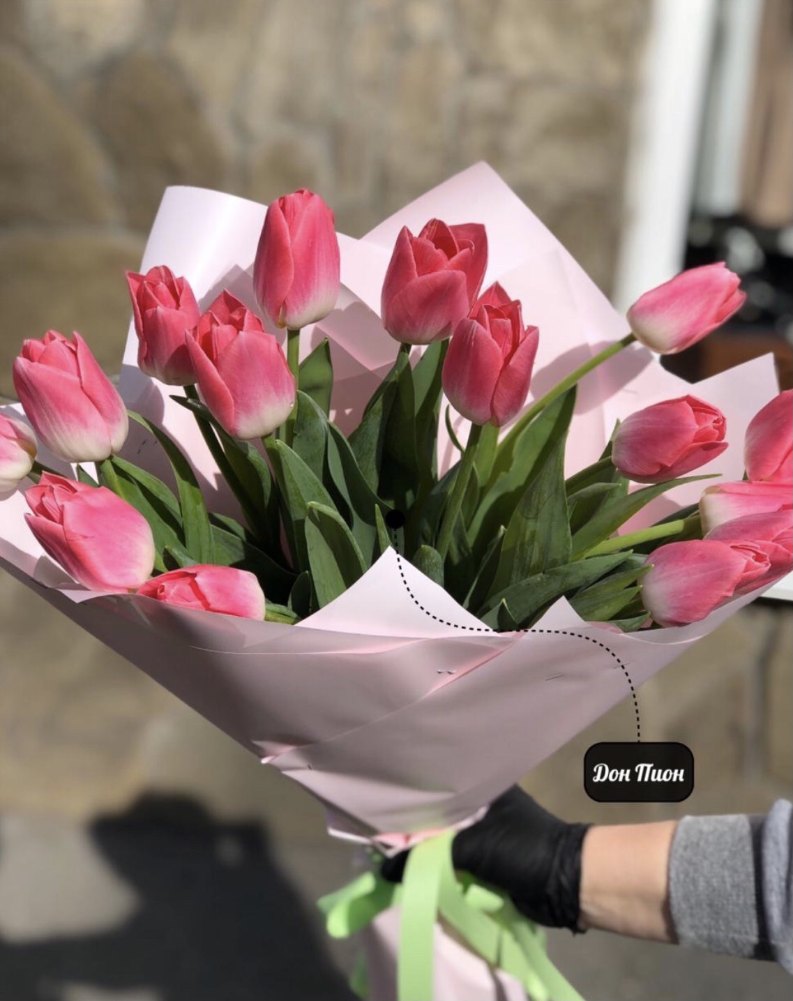 Весенний ветер