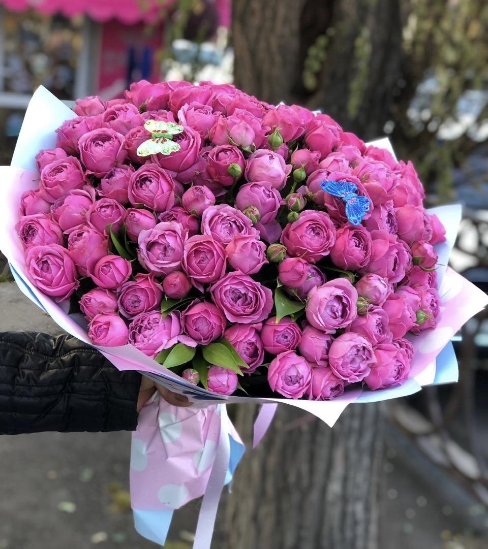 Мечта поэта