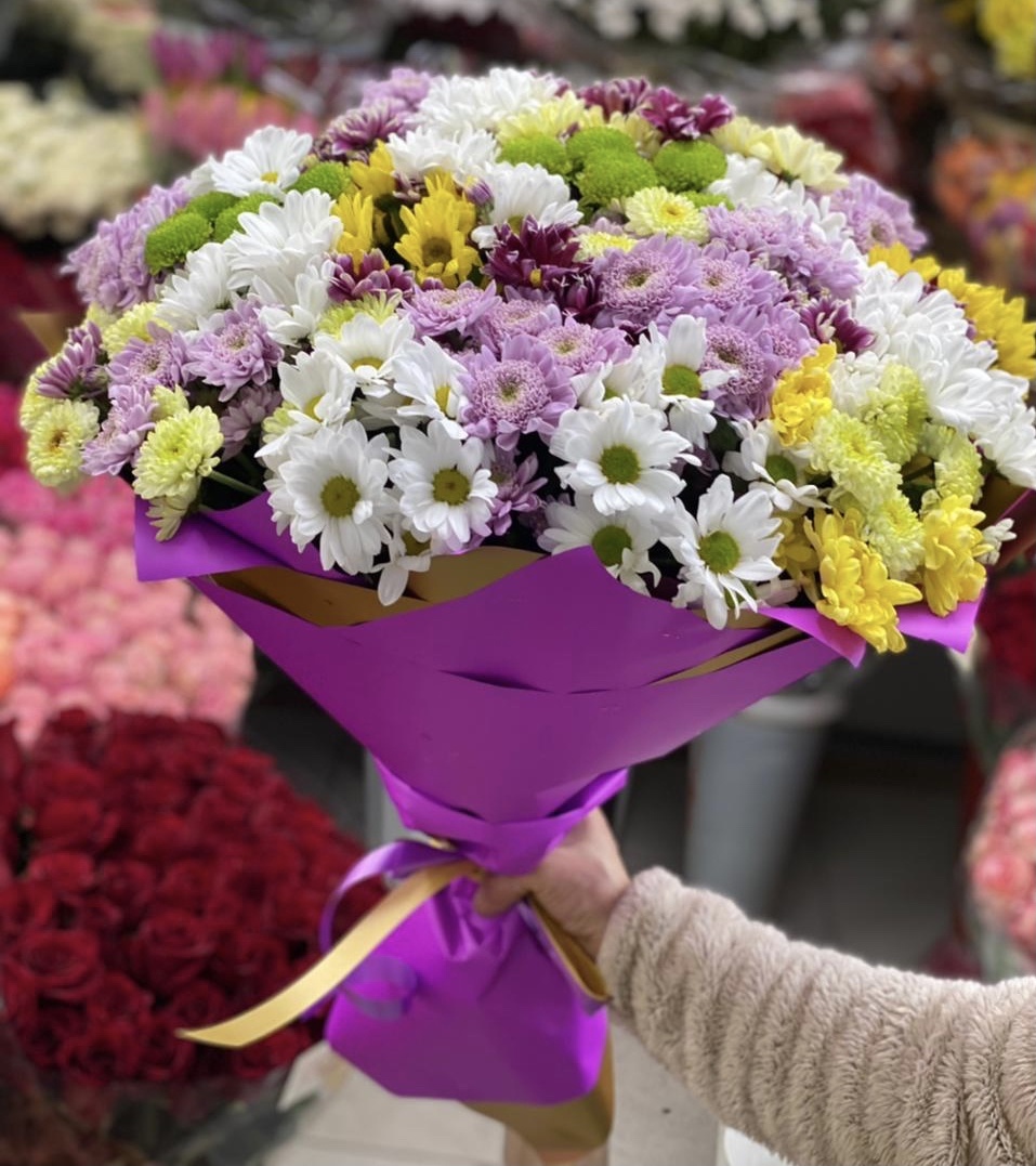 Первая птичка