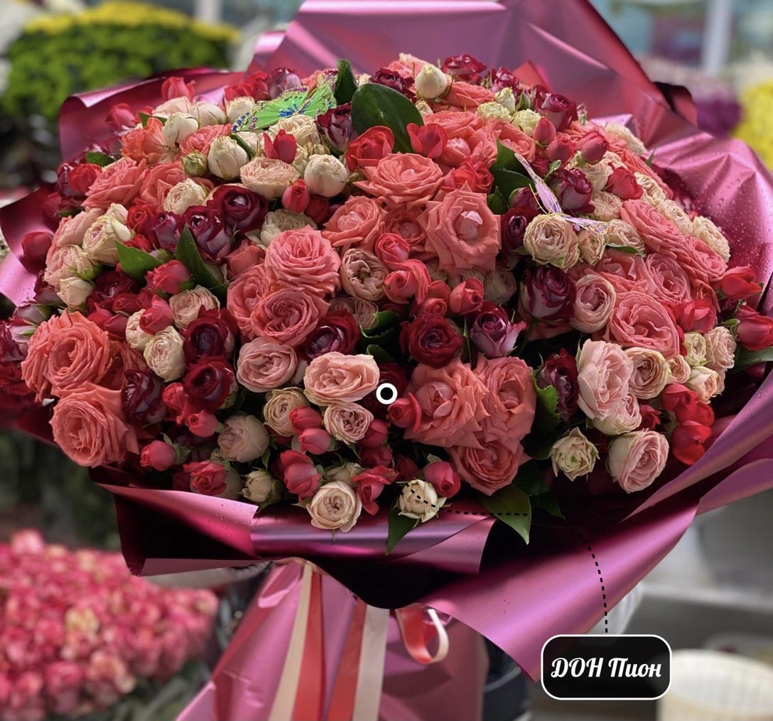 Рассвет красоты