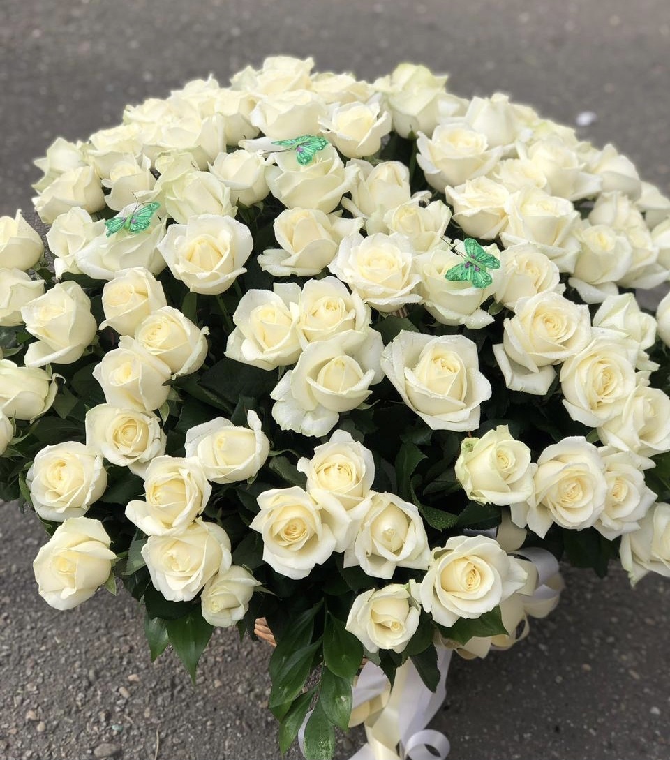 Лебединая верность