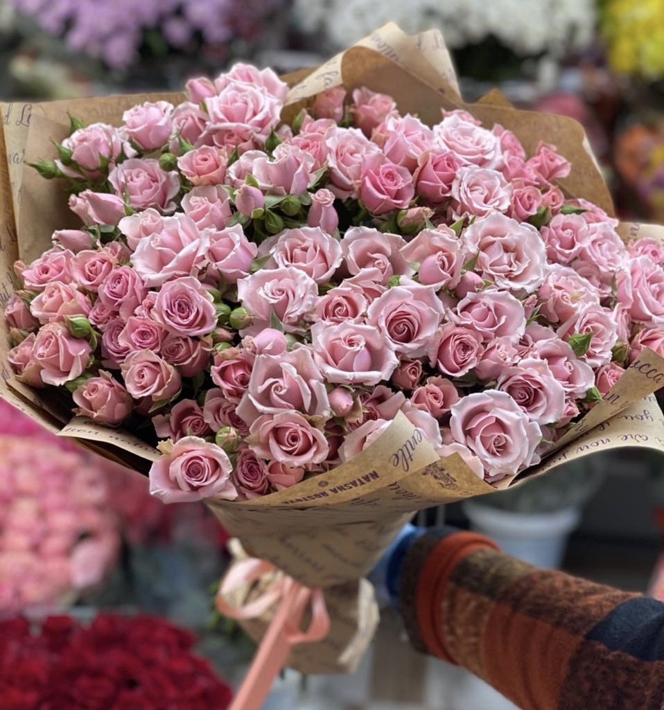 Нежная симфония 