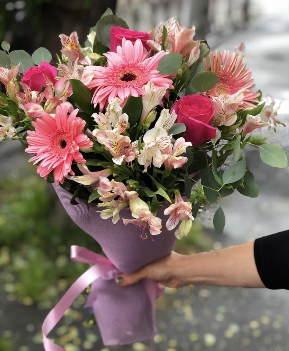 Заколдованный лес 