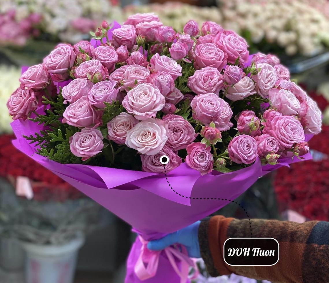 Чарующая незнакомка