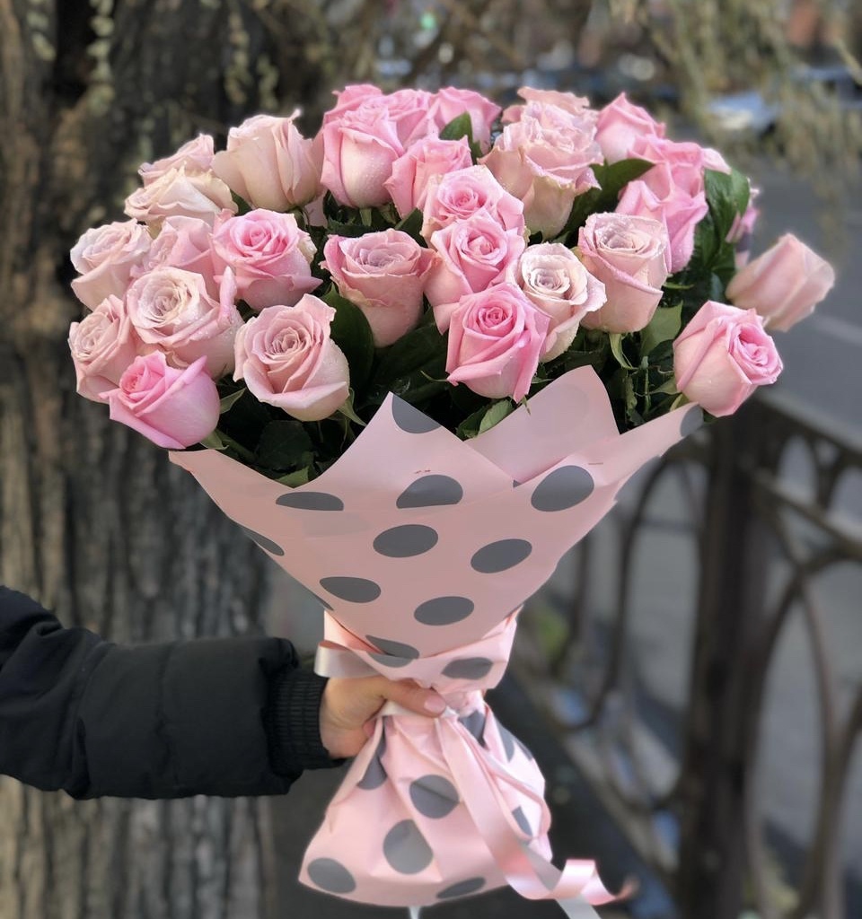 Прекрасное начало