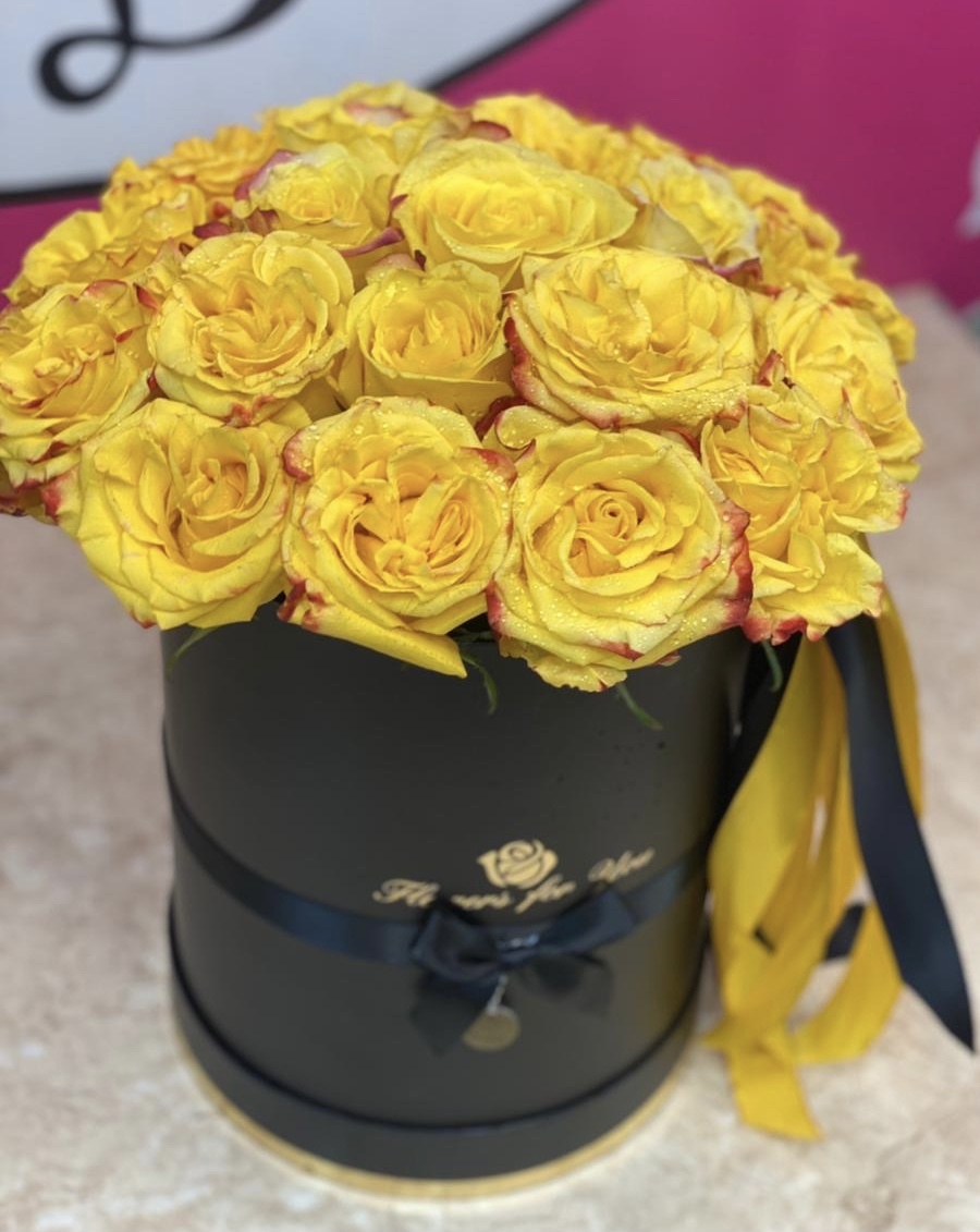 Солнечный зайчик