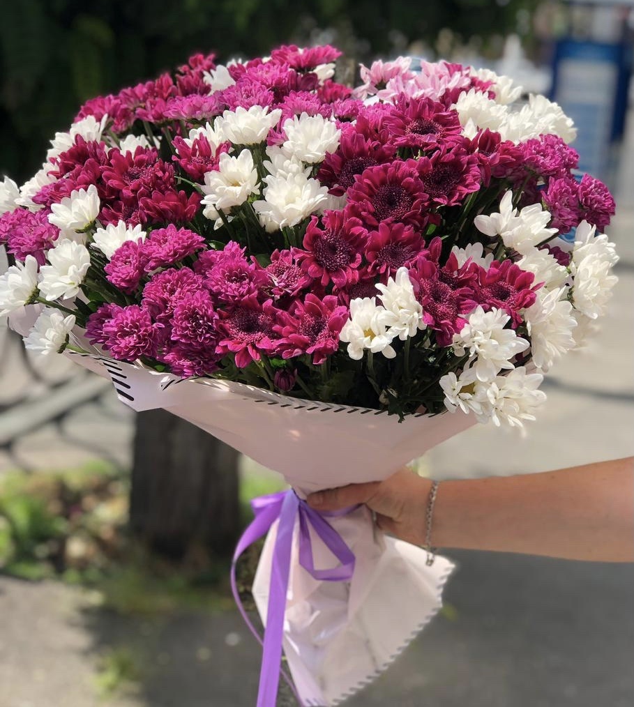 Маленькая страна