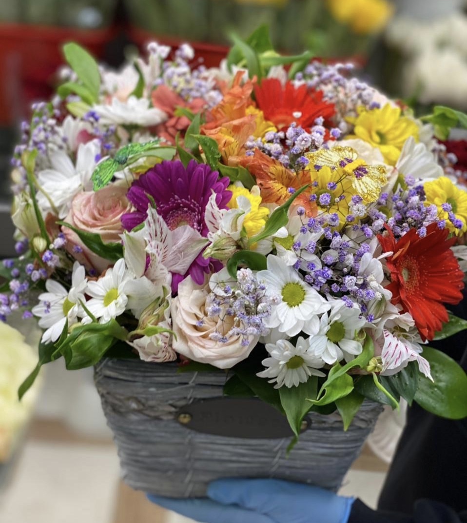 Весенняя свежесть