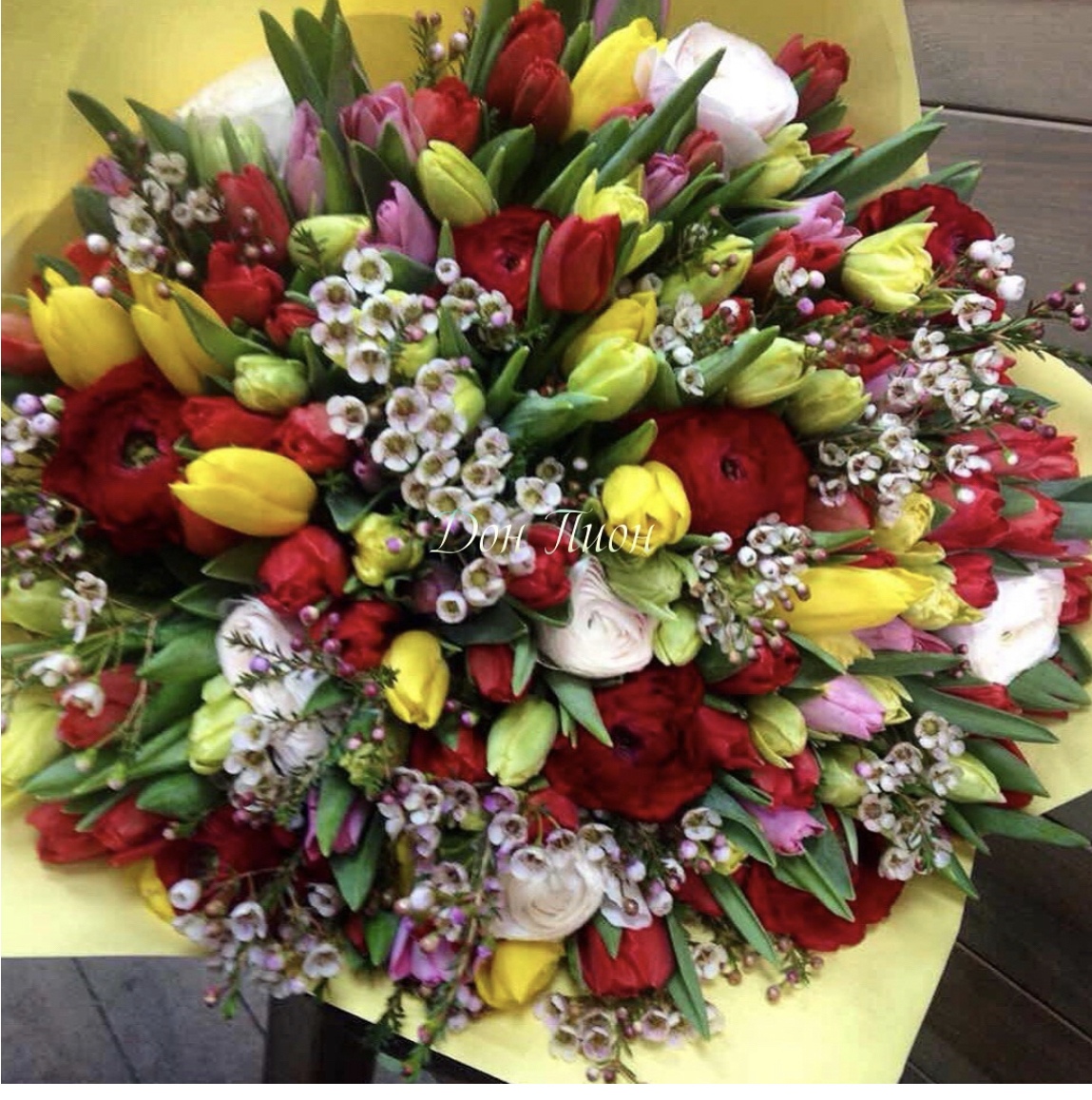 Страна тюльпанов