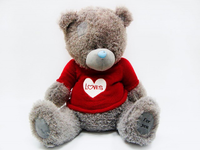 Теди в свитре