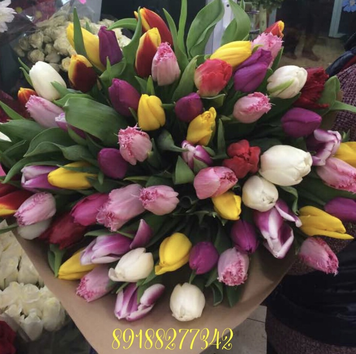 Букет из 101 тюльпанов микс