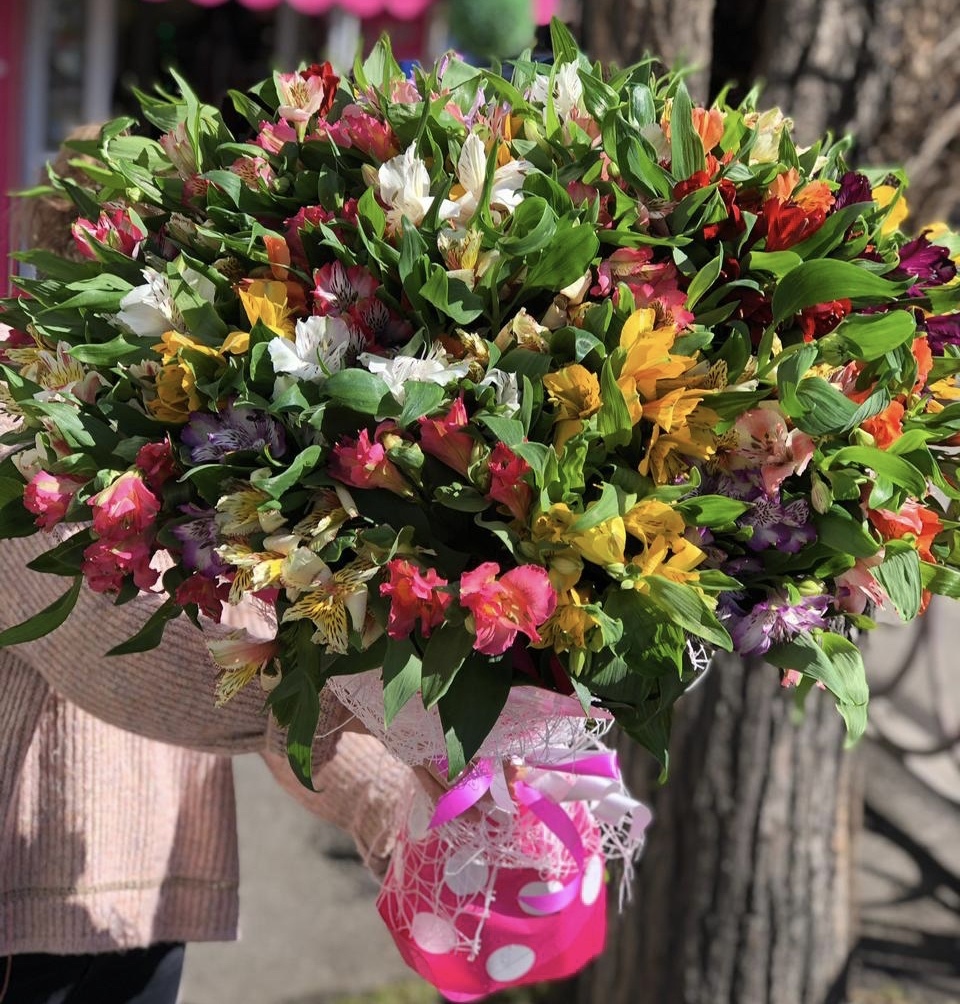 Лесной подарок