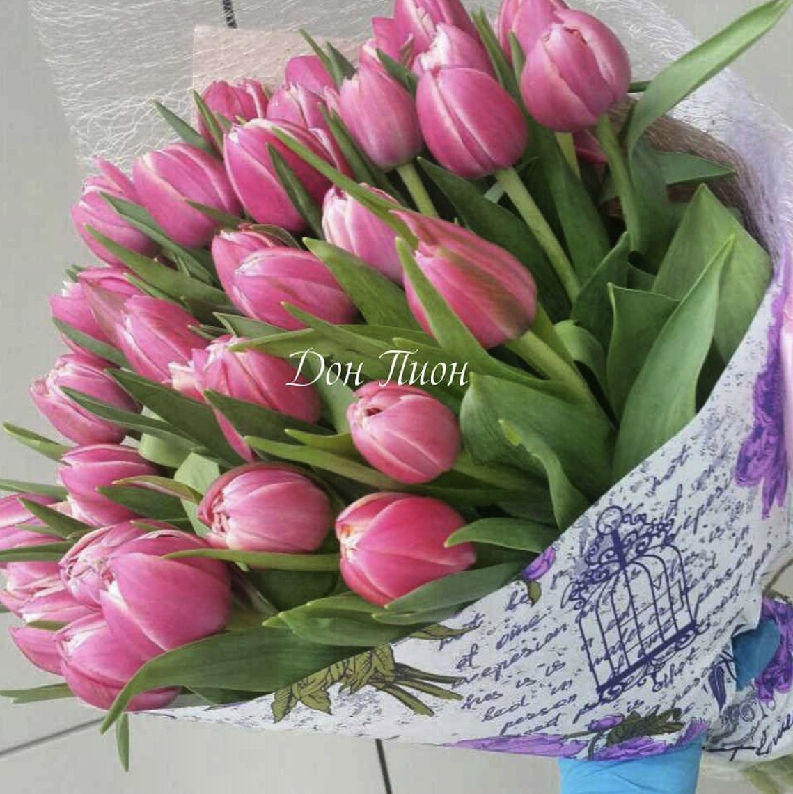 Букет малиновых тюльпанов