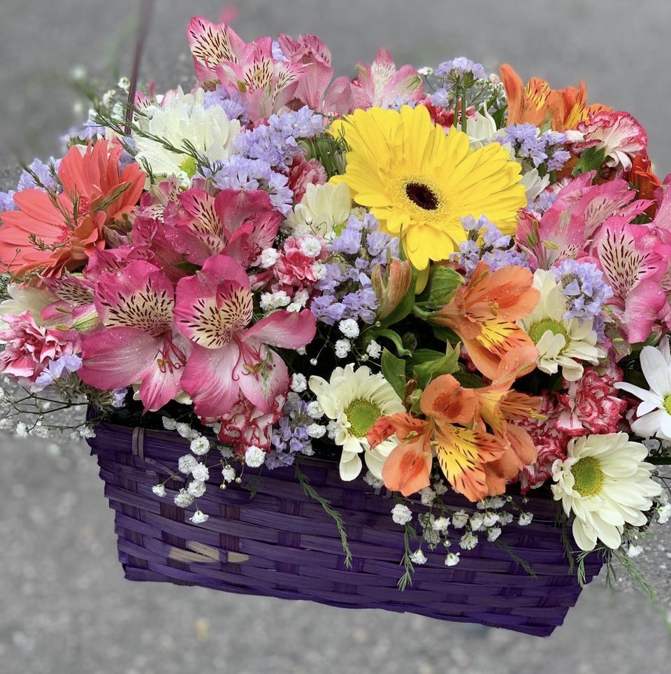 Наслаждающийся миром