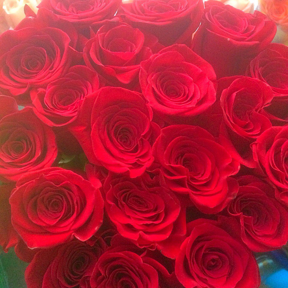 Местные розы софия