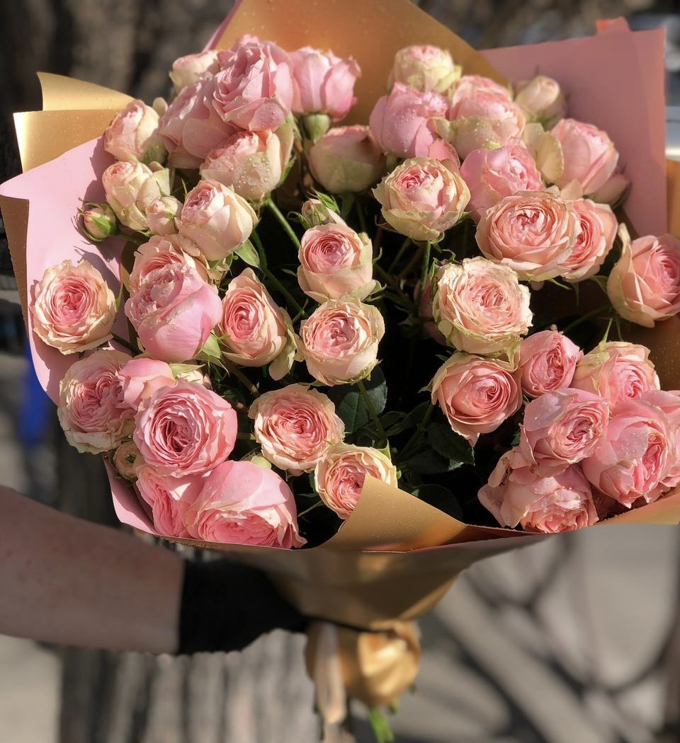 Розовый закат