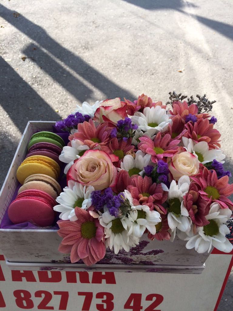 Радость Моя