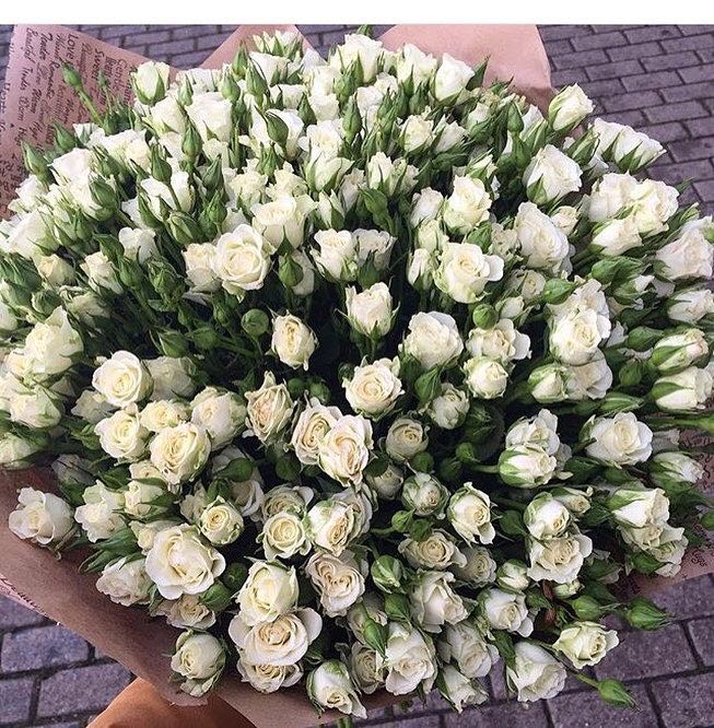 Сказачная Фея 