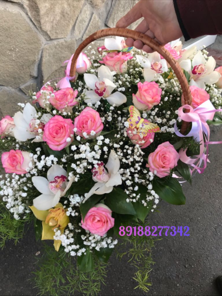 Дикая Орхидея