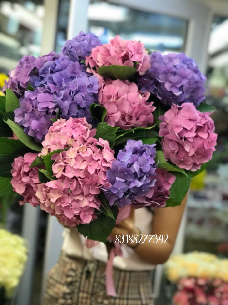 Букет  Гортензии 