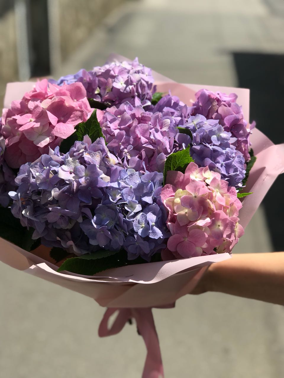 Букет  Гортензии 