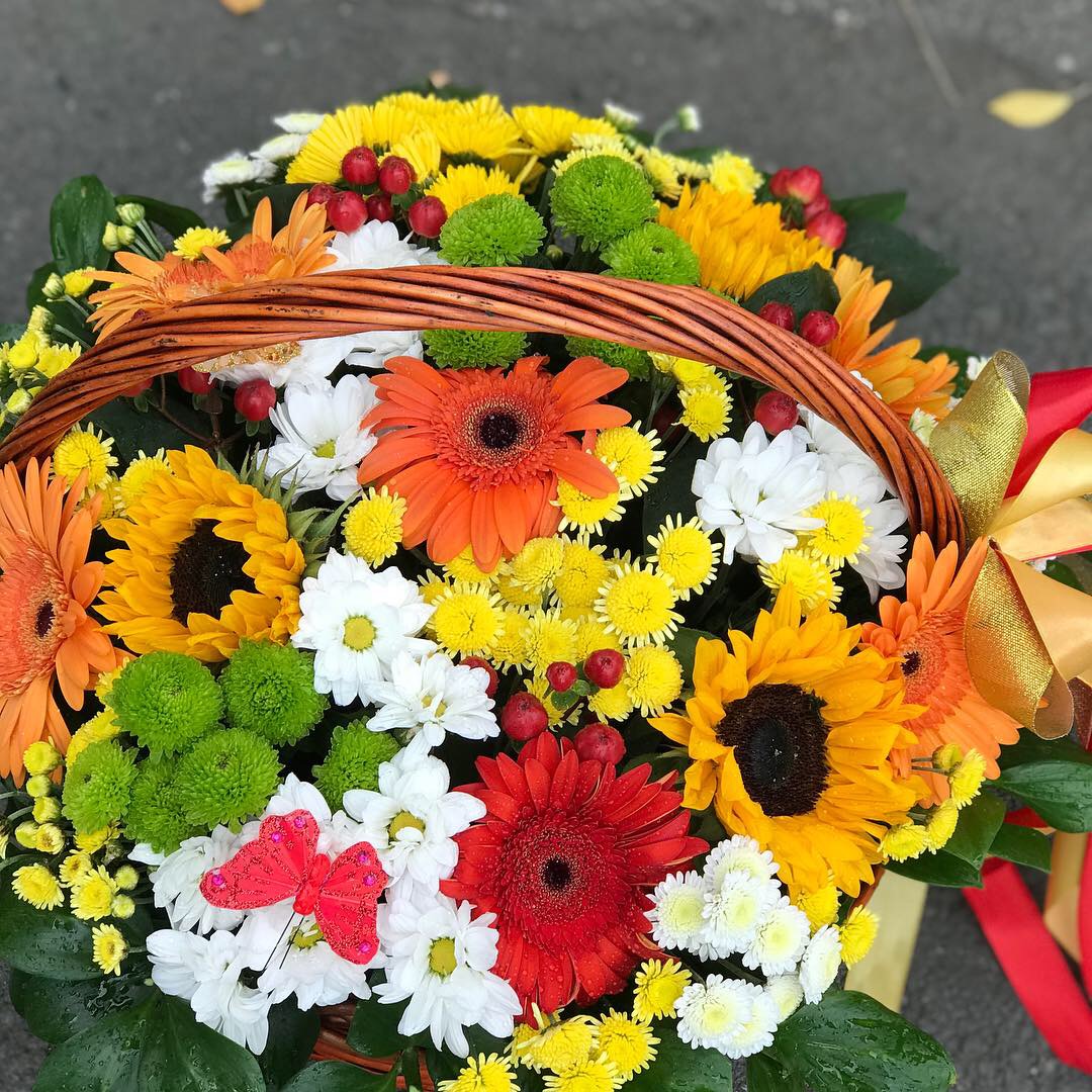 Осенний Лес