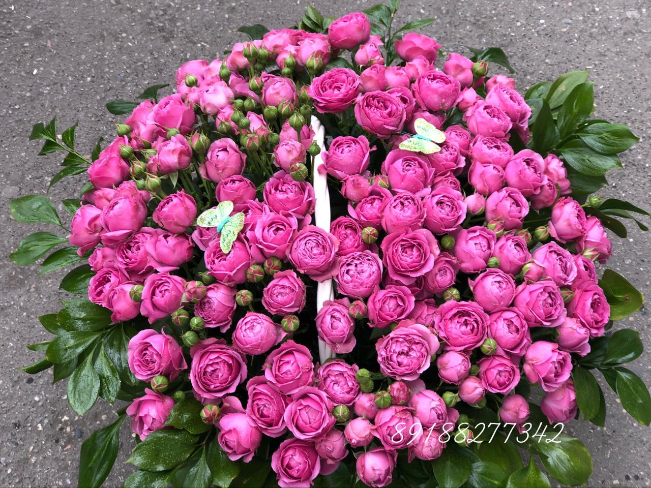 Пионовидный рай