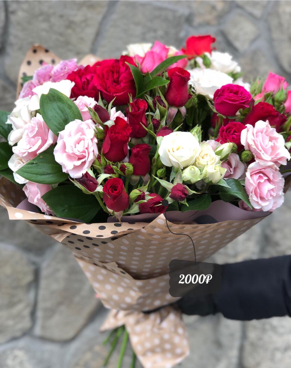 Всплеск Чуств