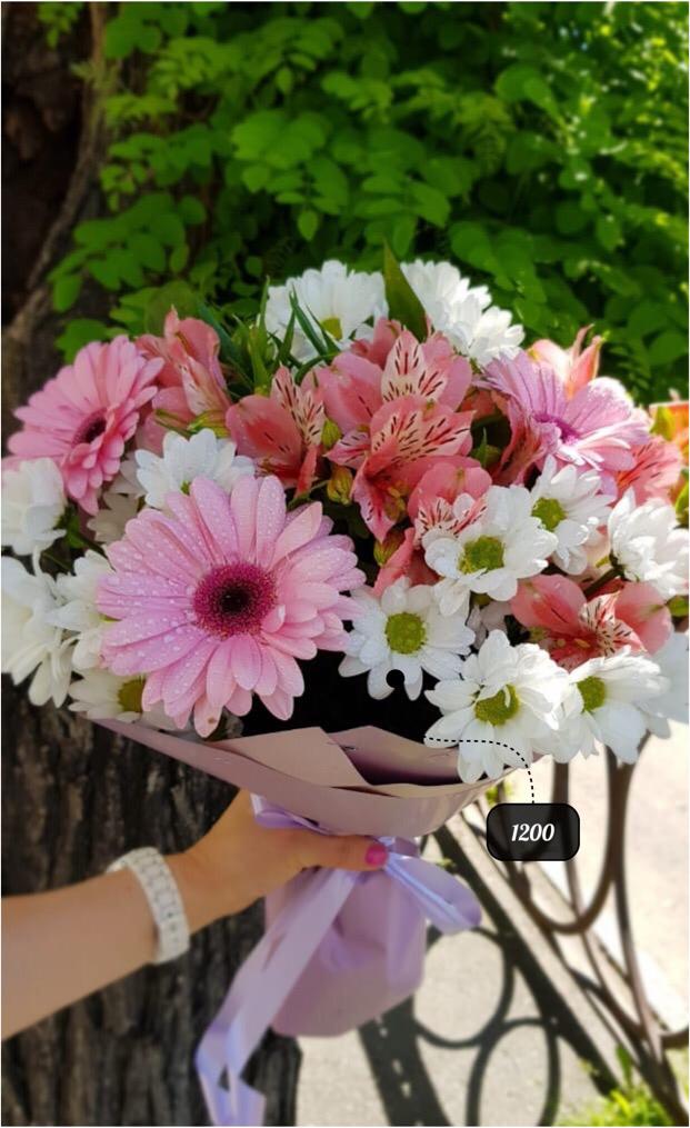 Летний Дождь 