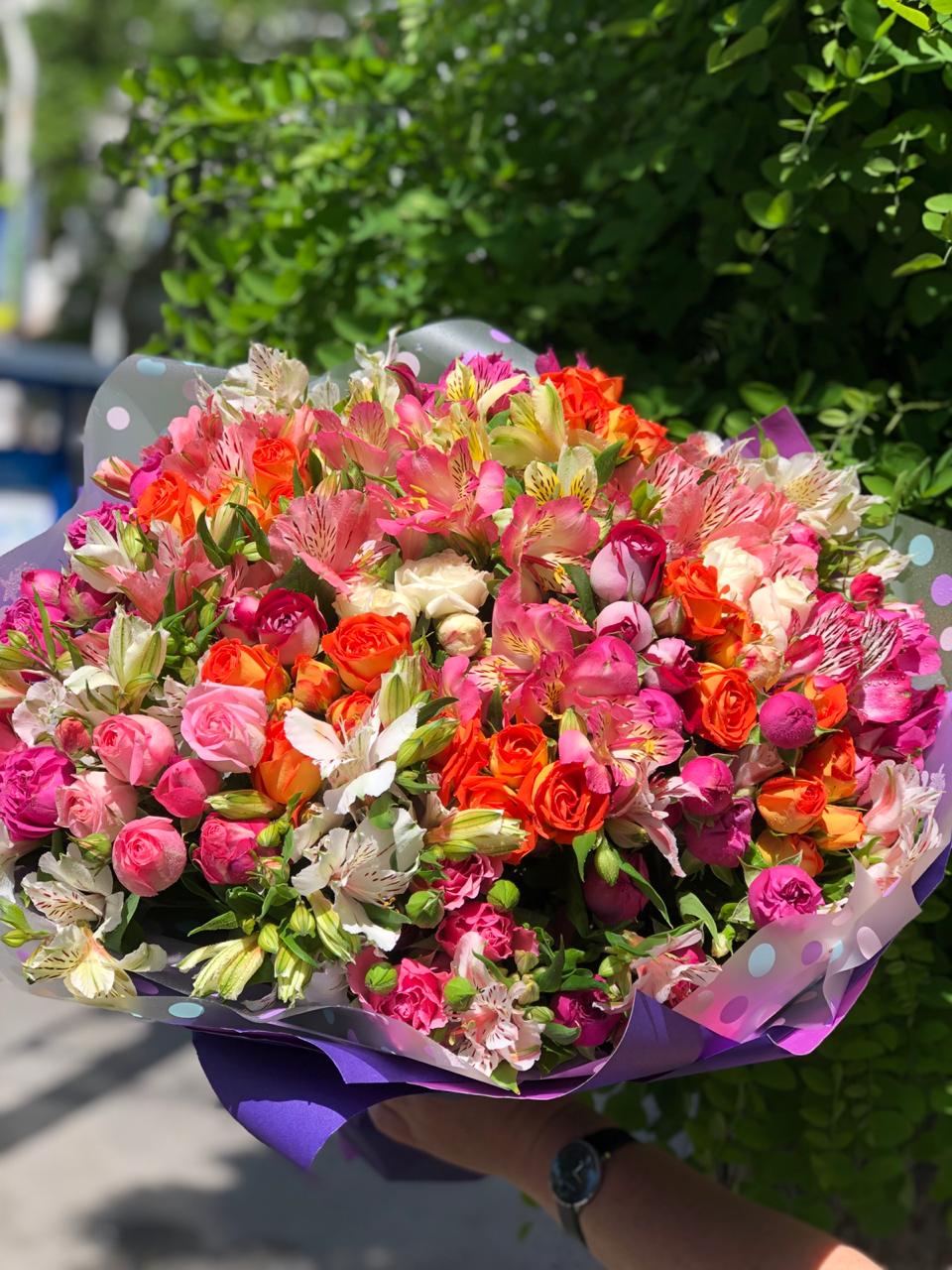 Всплеск Чуств