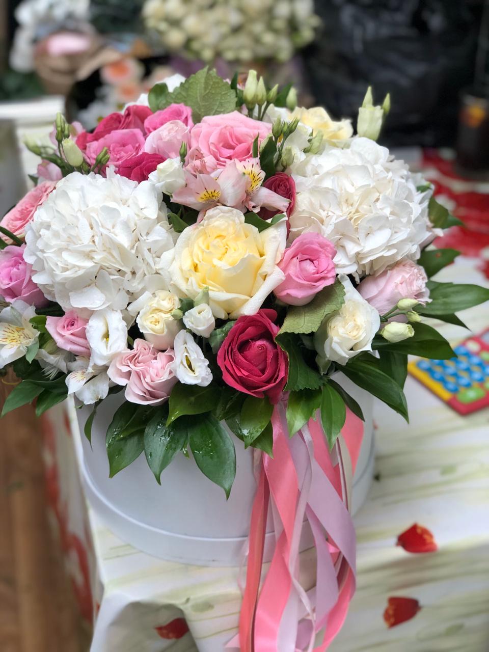 В Тумане грез