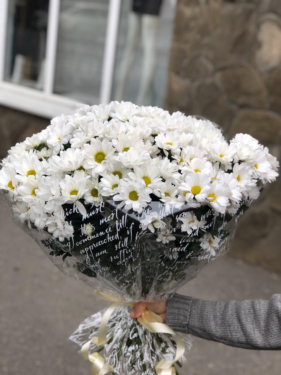 Ромашковый Луг