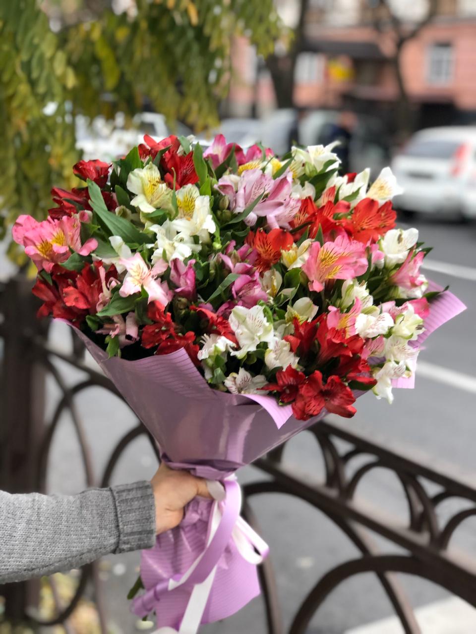 Дикая Орхидея 