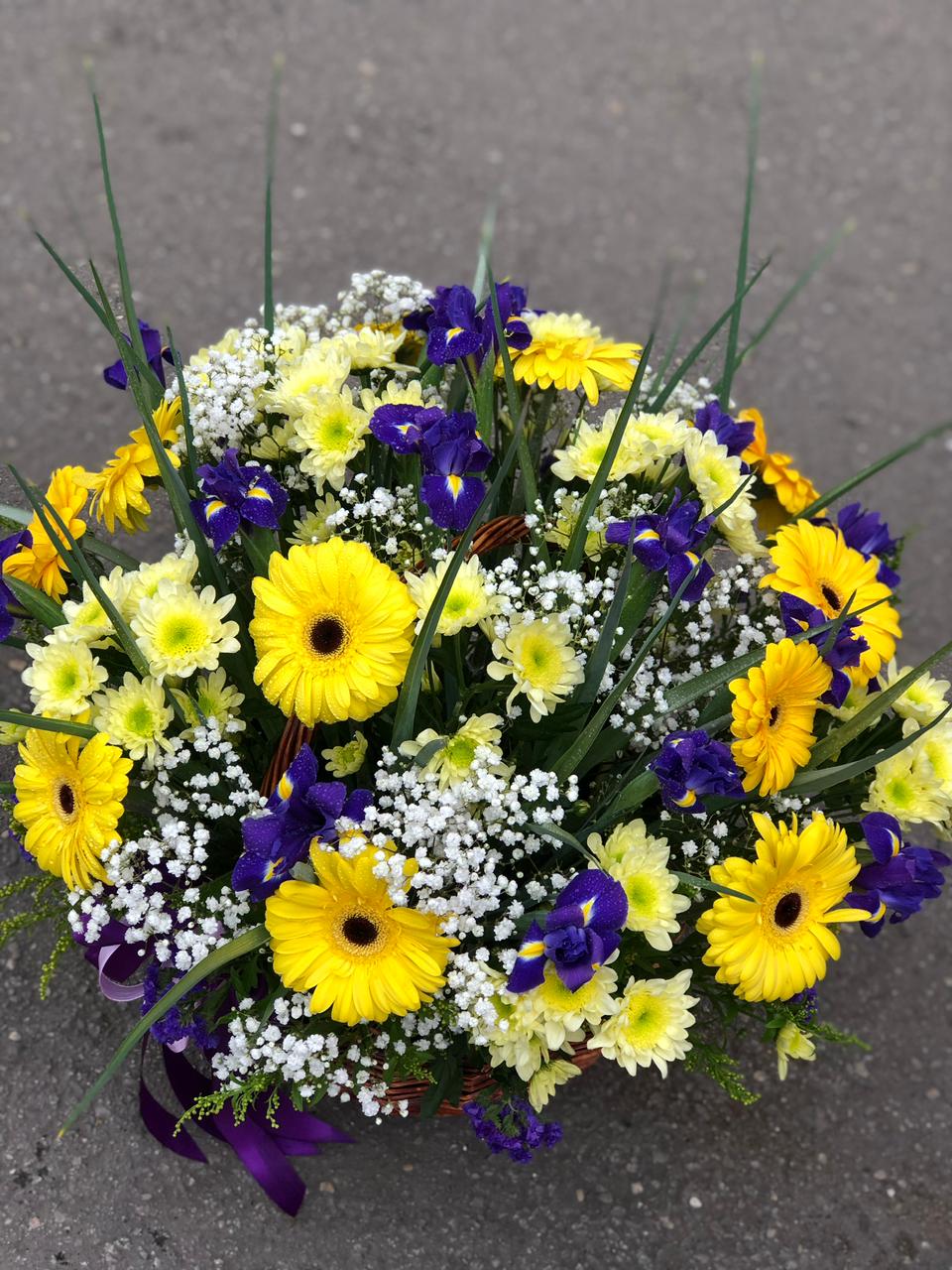 Первая Бабочка