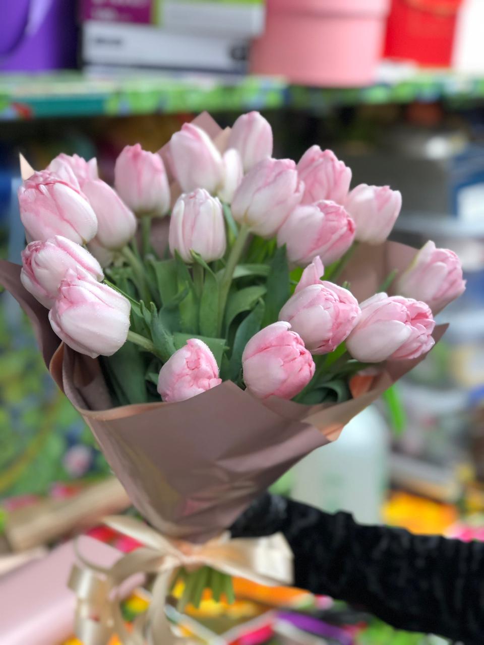 Свет вечерней зари