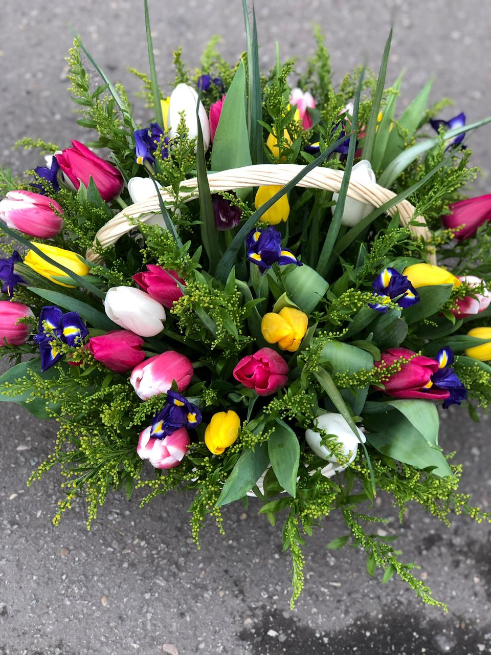 Заказное Солнце