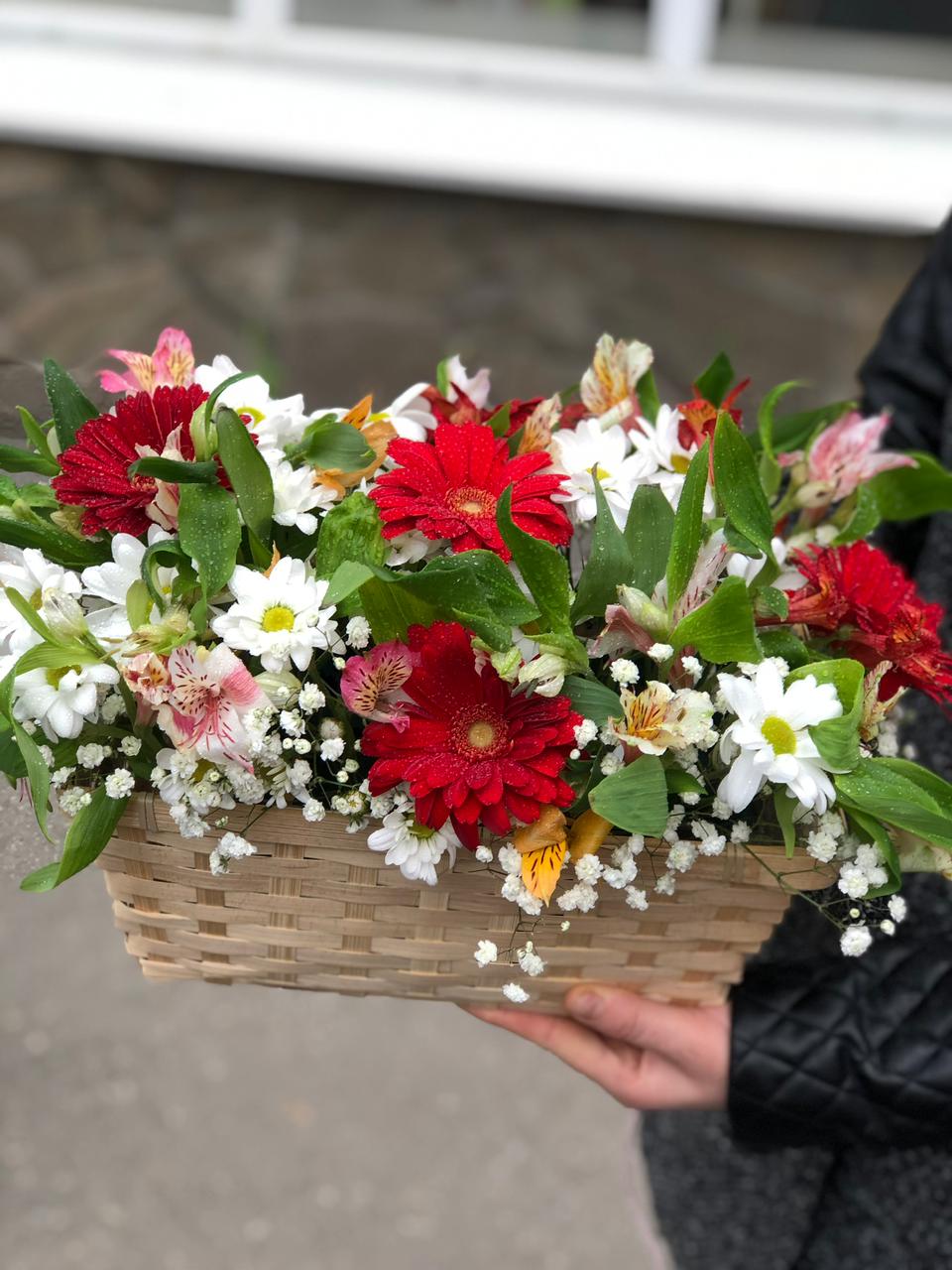 Зеленый Шум