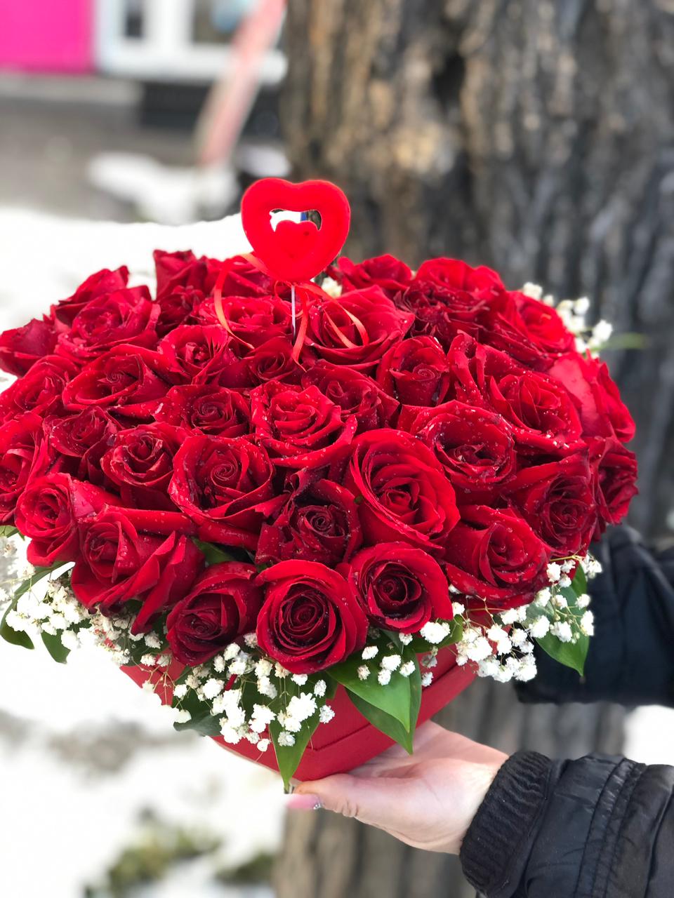 Нежный Зефир 