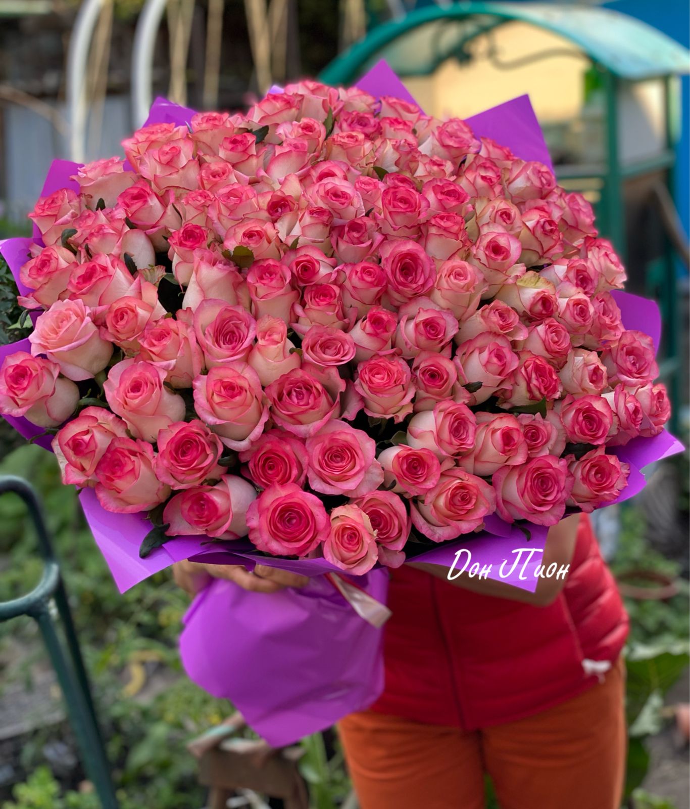 101 роза Джамиля